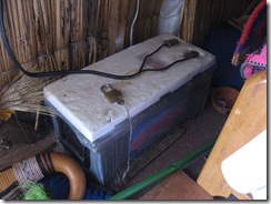 2008-04-23 Peru-Ecuador 1964