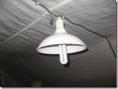 2008-04-23 Peru-Ecuador 1966